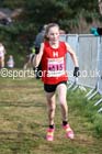 Girls under-13s, 2016 National Cross Country Relays, Berry Hill Park, Mansfield. Photo: David T. Hewitson/Sports for All Pics